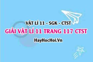 Giải Vật lí 11 Chân trời sáng tạo trang 117 SGK